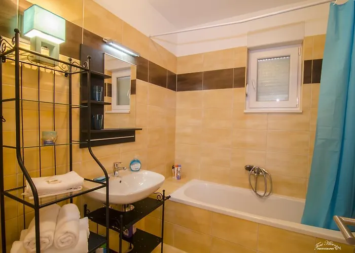 Dalmatian Sea Star * 스플리트