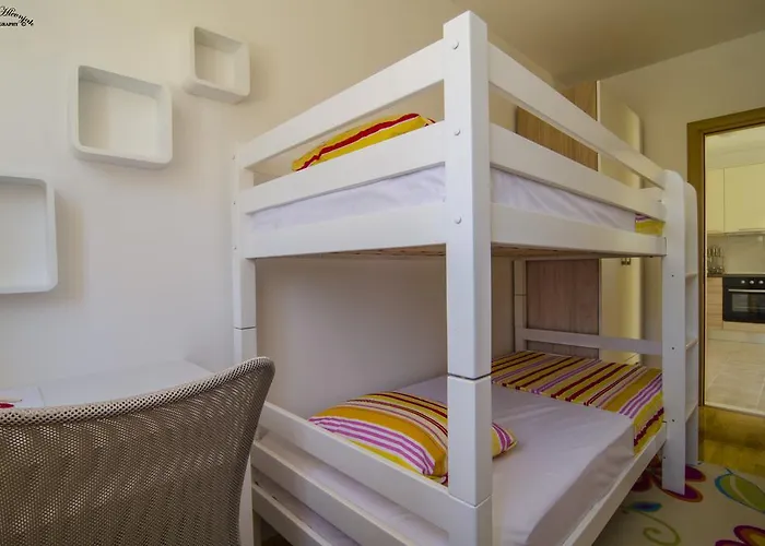 Dalmatian Sea Star 스플리트