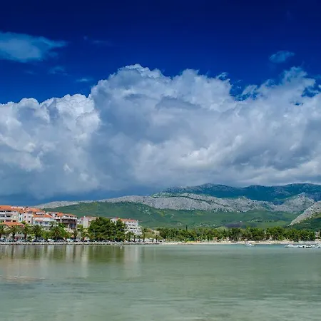 Dalmatian Sea Star Διαμέρισμα *