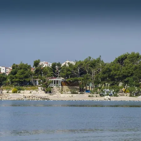 Dalmatian Sea Star Σπλιτ